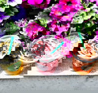 Starbucks - Hurstville - Hotel QLD