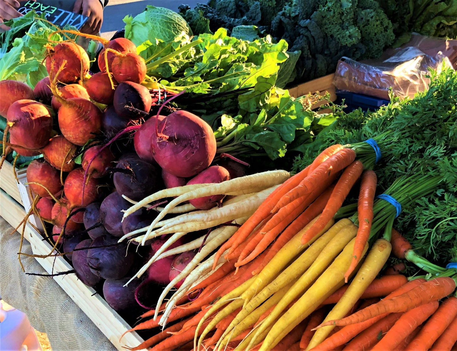 Angaston SA Hotel QLD