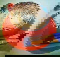 Phillips  Co - Hotel QLD