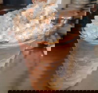 Fresh To Go - Hotel QLD