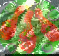 Coconut Lagoon Indian Cuisine - Hotel QLD