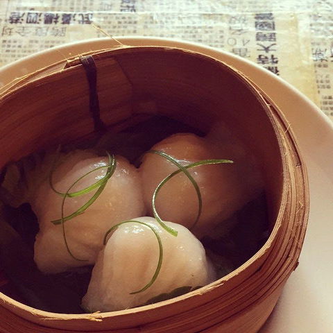 Dumplings & Beer - Potts Point - Hotel QLD 0