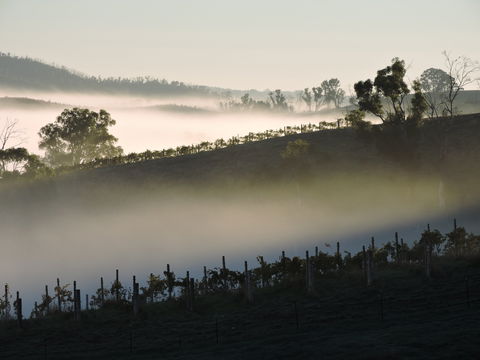 Mt Bera Cellar Door And Restaurant - Hotel QLD 1