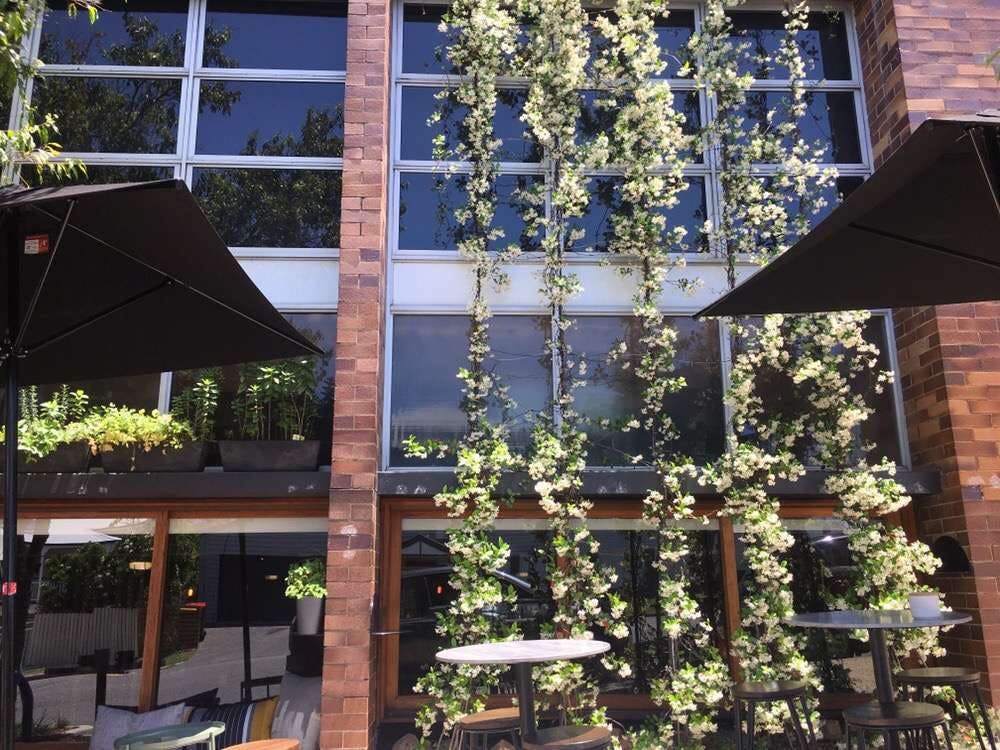 Grange QLD Hotel QLD