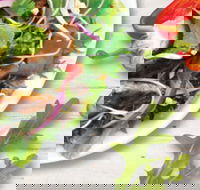 Sumo Salad - South Brisbane - Hotel QLD