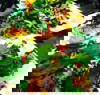 The Local Shed Cafe - Hotel QLD