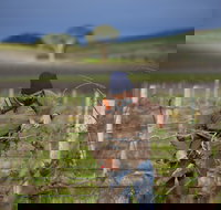 Kurtz Family Vineyards - Hotel QLD