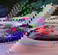 Antz Pantz Cafe - Hotel QLD