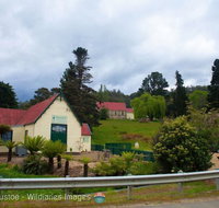 Frank's Cider House  and Cafe