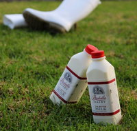 Bodalla Dairy - Cheese Milk and Ice Cream Factory and Cafe