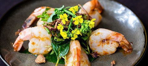 Itoshin Japanese Restaurant - Hotel QLD 2