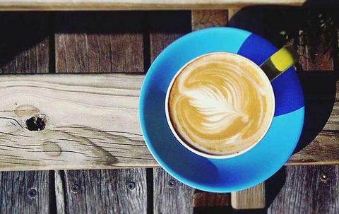Lush Coffee Lounge - Hotel QLD 16