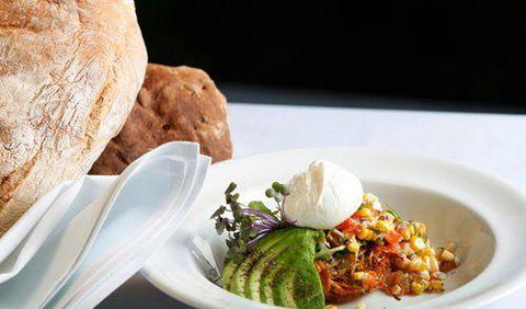 Lush Coffee Lounge - Hotel QLD 6