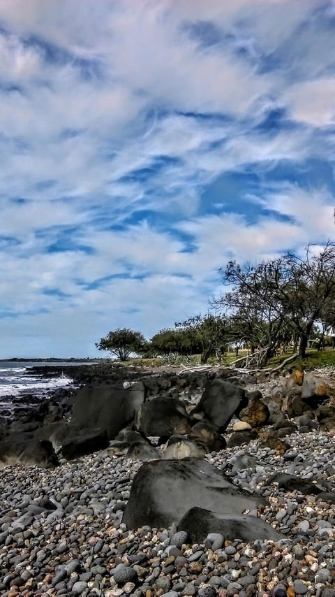 Sea Gypsy Cafe - Hotel QLD 1