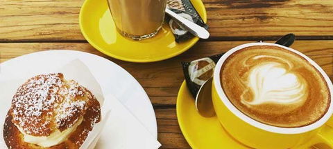Honey Bee & Saint - Hotel QLD 1