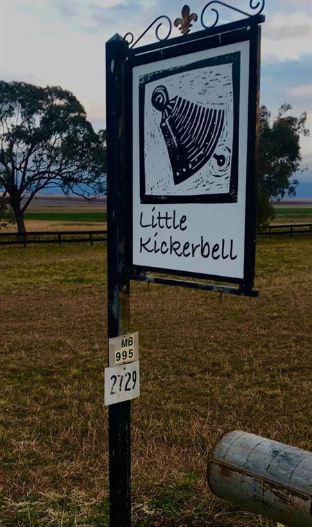 Little Kickerbell - Hotel QLD 1