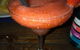 Kacy’s Restaurant - thumb 3