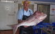Northern Rivers Seafood - thumb 3