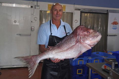 Northern Rivers Seafood - Hotel QLD 3