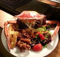 Safari Club Bar  Grill - Hotel QLD