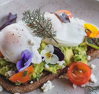 Armchair Collective - Hotel QLD