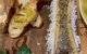 Gaucho's Argentinian Restaurant - thumb 4