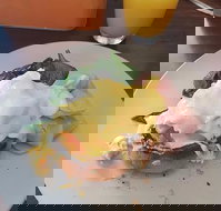 Stock Bar  Grill - Hotel QLD