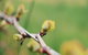 Lost In The Vines - thumb 16