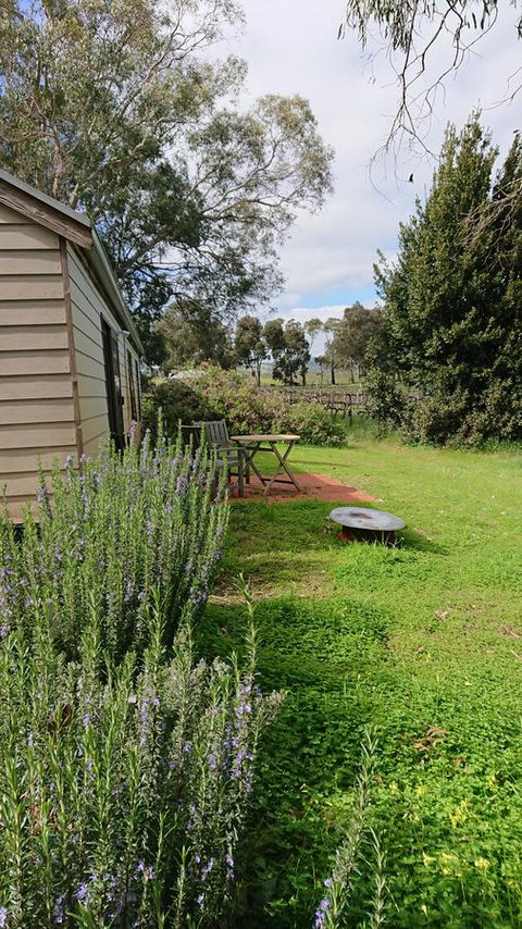 Lost In The Vines - Hotel QLD 22