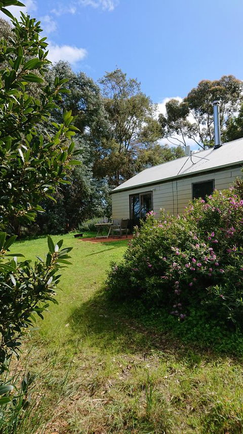Lost In The Vines - Hotel QLD 26