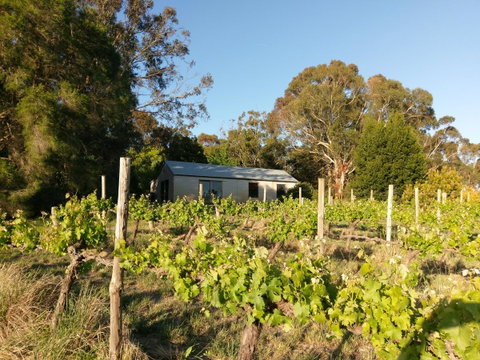 Lost In The Vines - Hotel QLD 25
