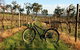 Lost In The Vines - thumb 17