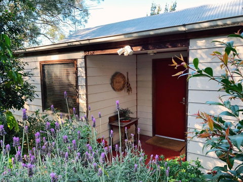 Lost In The Vines - Hotel QLD 13