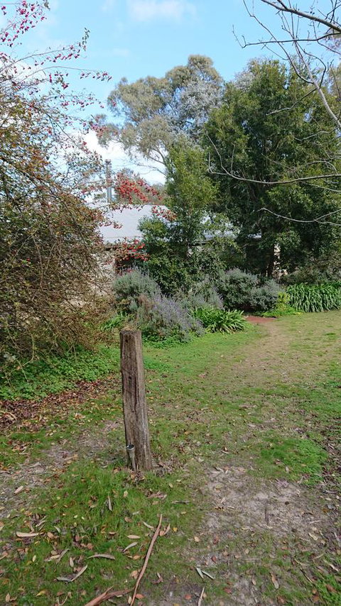Lost In The Vines - Hotel QLD 21