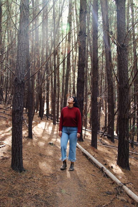 Lost In The Vines - Hotel QLD 19
