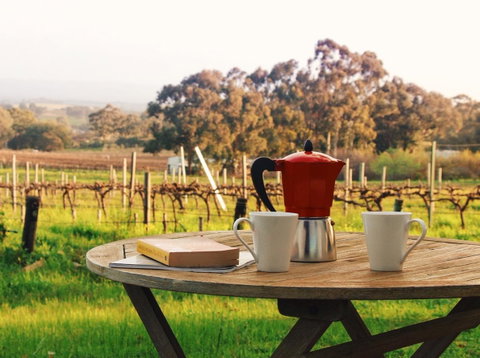 Lost In The Vines - Hotel QLD 1