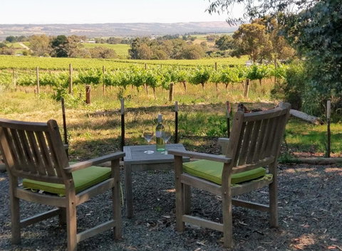 Lost In The Vines - Hotel QLD 23