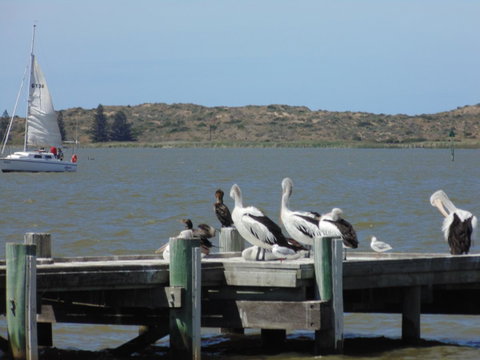 Baronet B & B - Hotel QLD 20