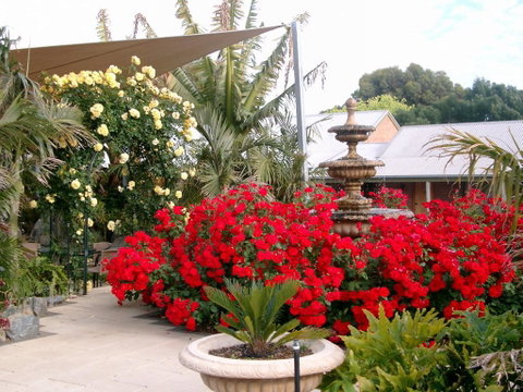 McLaren Vale Motel & Apartments - Hotel QLD 35