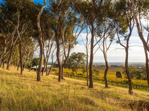 Shadow Creek McLaren Vale - Hotel QLD 5