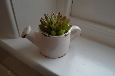 Two Cow Cottage Bed & Breakfast - Hotel QLD 21