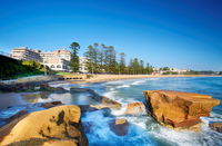 Book Terrigal Accommodation Vacations Hotel QLD Hotel QLD