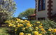 Wine And Roses Bed And Breakfast - thumb 5