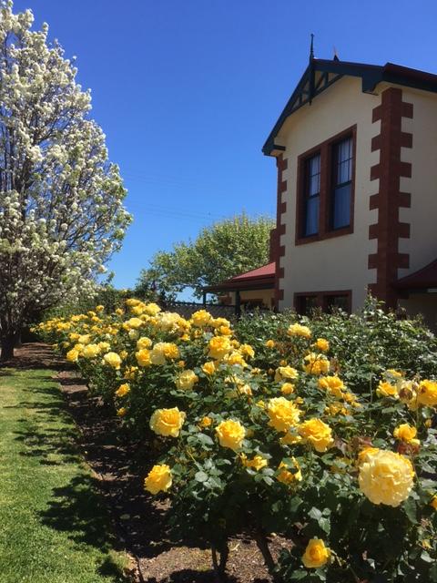 Wine And Roses Bed And Breakfast - Hotel QLD 5