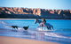 Lavina Luxury Beach House - thumb 25