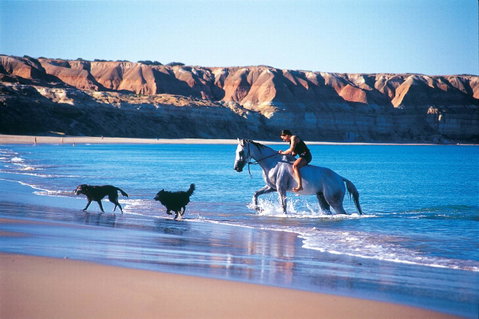 Lavina Luxury Beach House - Hotel QLD 25