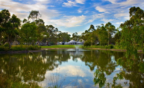 Serafino McLaren Vale - Hotel QLD 12