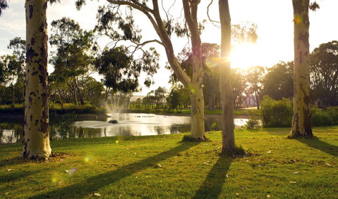 Serafino McLaren Vale - Hotel QLD 14