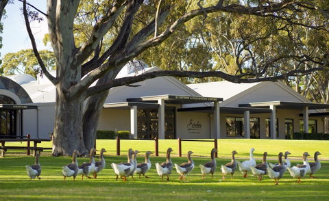 Serafino McLaren Vale - Hotel QLD 0