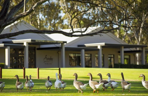 Serafino McLaren Vale - Hotel QLD 17